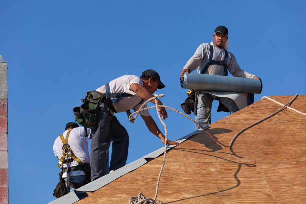 Best Metal Roofing Contractor  in Swepsonville, NC