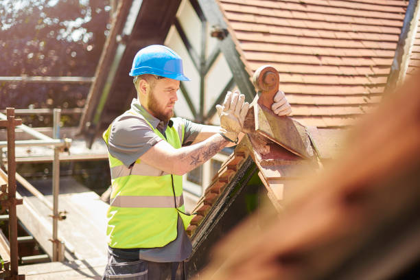 Best Roof Maintenance Services  in Swepsonville, NC